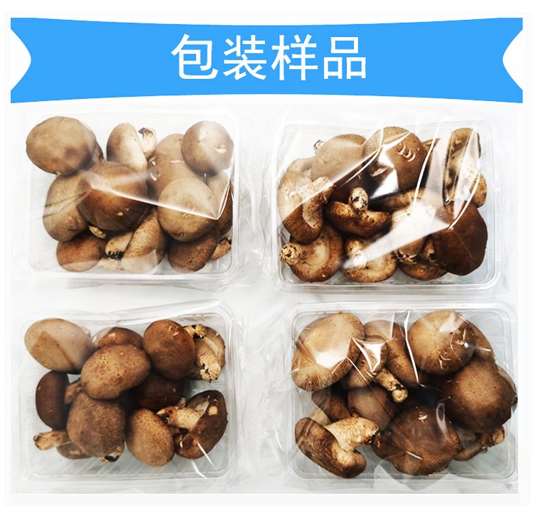 蘑菇包装机包装样品