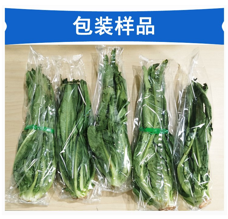 油麦菜包装机包装样品