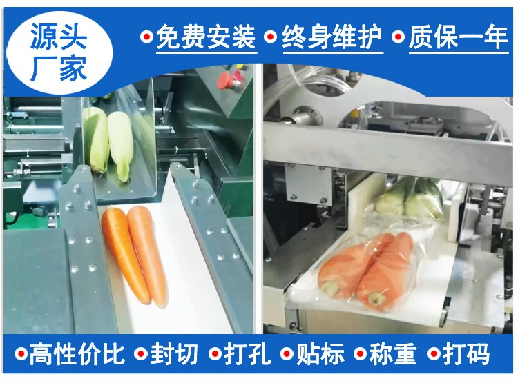全自动叶菜果蔬食用菌包装机